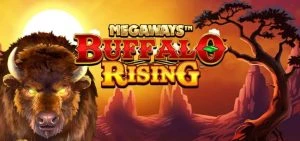 buffalo rising megawazs gokkast content image