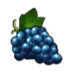 100 Super Hot druiven symbool