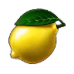 Shining Hot 40 citroen